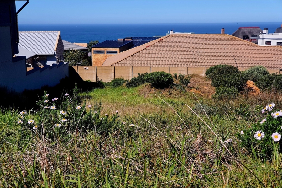 0 Bedroom Property for Sale in Jongensfontein Western Cape